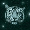 Tiger im Weltraum-Panorama