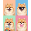 Hunde Zwergspitz Hund
