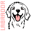 Glückliche Hunde Labrador