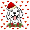 Weihnachtsmann Weihnachten Hunde