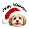 Hund mit Weihnachtsmannmütze