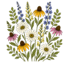 Gänseblümchen, Sonnenhut und Wildblumen