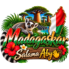Madagaskar Lemur Tropen Flair