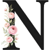 N Buchstabe Monogram Floral