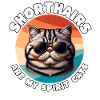 Lustige Exotische Kurzhaarkatze Sprüche