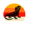 Team Chinesische Wasseragame