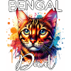 Bengalkatze Papa