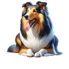 Langhaar Collie