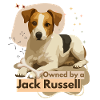 Jack Russell Treue Hundemotiv