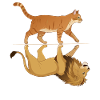 Katze mit Löwe Reflektion Tiere