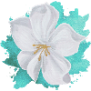 Magische Mandelblüte - Sonja von Staden