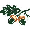 Eicheln Eichenlaub Natur Icon