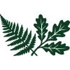Farn Eichenlaub Wald Silhouette
