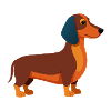 Dackel