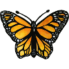 Monarch-Sonnenuntergangsschmetterling