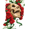 Karmesinroter Rosenschädel