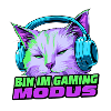 Gaming-Modus Katze mit Kopfhörer