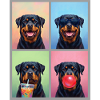 Hunde Rottweiler Hund
