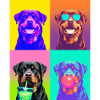 Hunde Rottweiler Hund