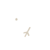 Überbewertet: Weiße KIWI Illustration 