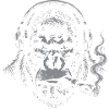 Gorilla Drum and Bass