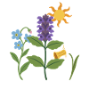 Narzisse · Sonne · Blumen · Natur