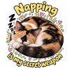 Schlafende Katze
