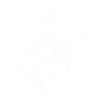 Linienkunst Hundekopf Malinois