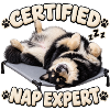 Zertifizierter Nickerchen-Experte – Finnischer Lapphund