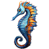 Seepferdchen Blau Orange Illustration