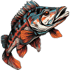 Fisch Barsch Bunt Illustration