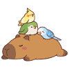 Niedliche Kapybara und Vögel
