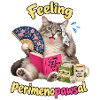 Menopause Katze