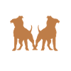 Staffordshire Bullterrier