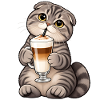 Scottish Fold mit Latte Macchiato – Katzenkaffee