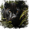 Dschungelpanther mit Goldaugen