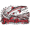 Fishing Denmark Meer und Freiheit
