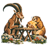 Alpenmurmeltier & Steinbock – Bergfrühstück