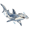 Hammerhai 