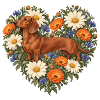 Dackel im Herz aus Wildblumen