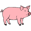 Schwein rosa Metzger Fleischer Geschenk