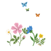 Blumen · Schmetterling · Geschenkidee · Kornblume