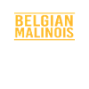 Belgischer Malinois