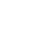 Gecko Silhouette Kontrast