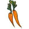 Aquarell Karottenduo-Illustration