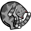 Eingerollter grauer Tabby-Schlaf