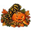 Salamander schnitzt Halloween-Kürbis