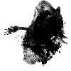 Archefish