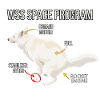 Space Dog Programm