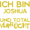 Vorname Joshua